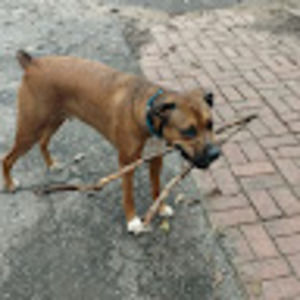 Meet your Posher, Jon connor